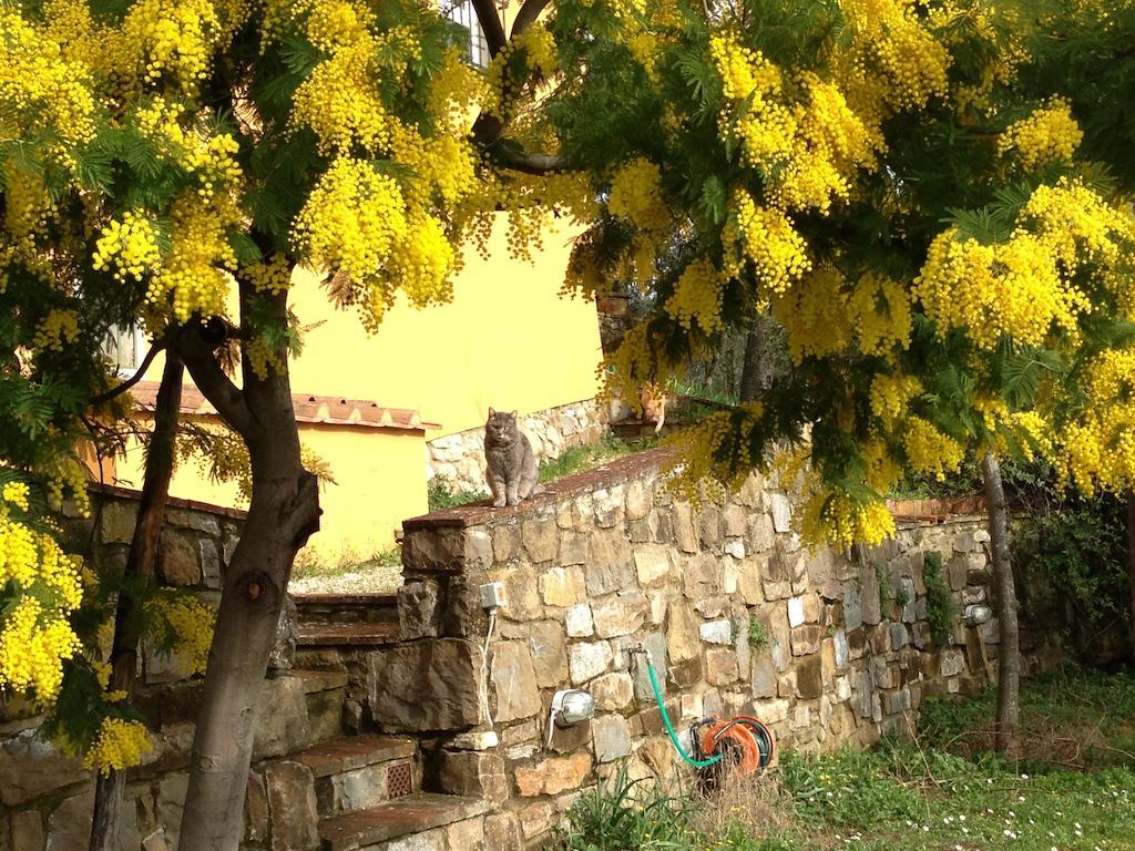 Il Casalone Vila Impruneta Exterior foto